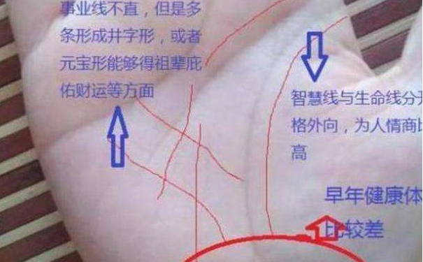 财运线怎么看？