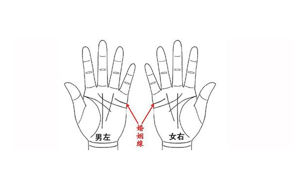 看手相是男左女右吗