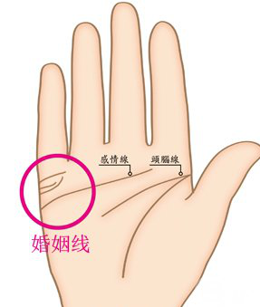 手相看婚姻，看你是否幸福美满