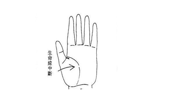 生命线在手掌纹路图解中有什么样的意义呢？