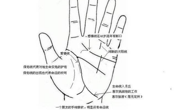手掌纹路图解命运线