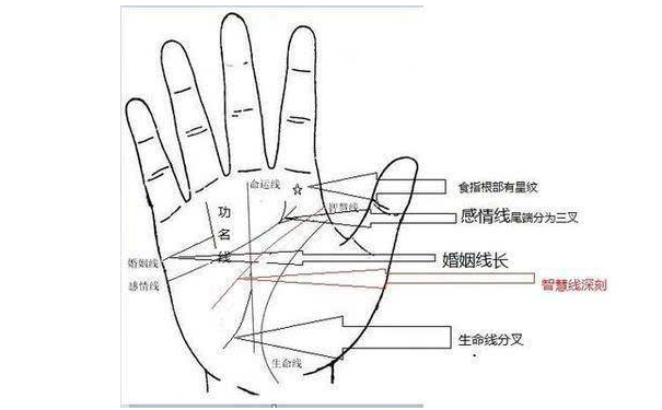 手相智慧线看你的身体健康情况