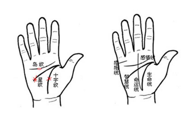 手相智慧线控制生命线的 “掌纹线”