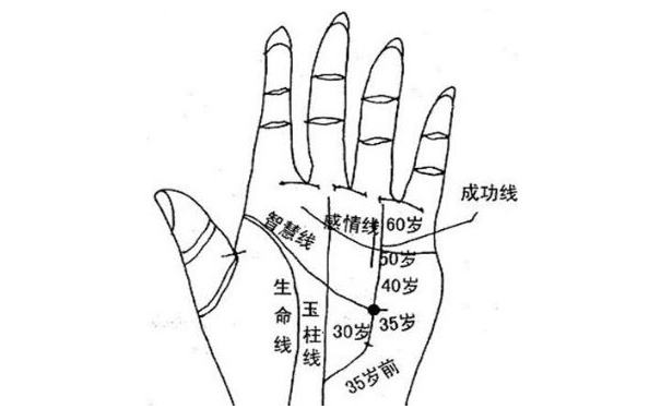 手相大全五大线是哪五大你懂吗?今天不妨一起来