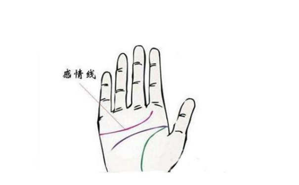 教你如何看手相中的感情线,手相感情线和感情运