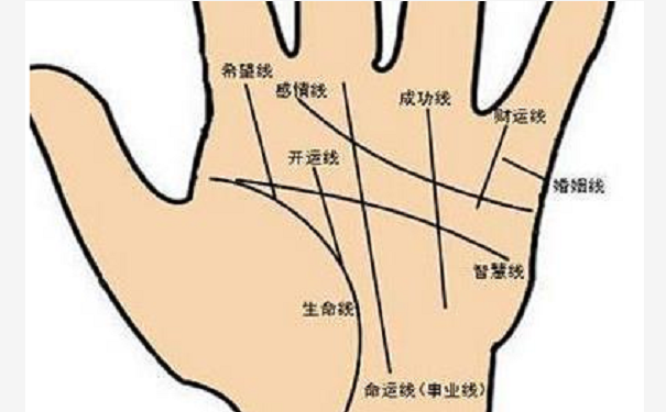 财运线到底在哪?财运线在无名指下方