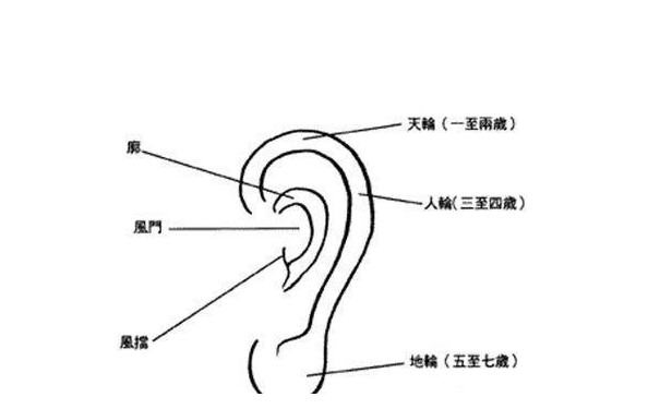 有福气的人在相术大全中会拥有以下的耳朵形状