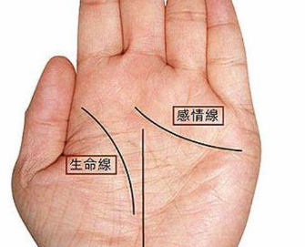 手纹算命 五大掌纹了解一下 98手相網 手纹算命 五大掌纹了解一下 98手相網