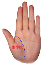 手掌纹路图解