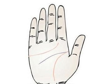 手纹看相，最常见的掌纹有哪些