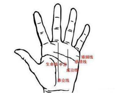 掌纹图解