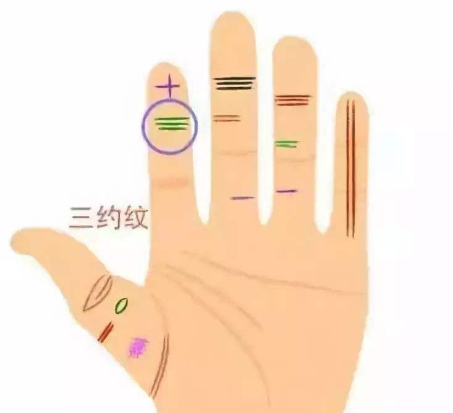 凤眼纹图片