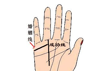 婚姻線圖解大全