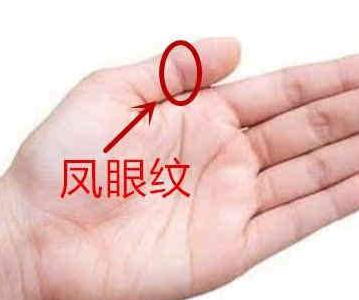 凤眼是极贵之人