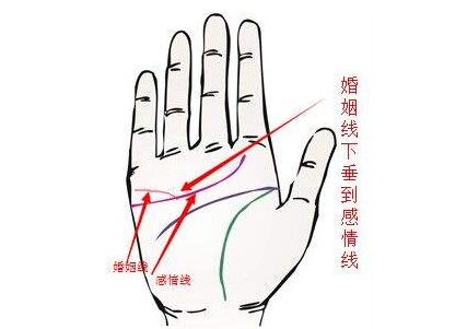 如何看手相