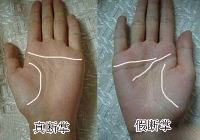 假断掌手相图解