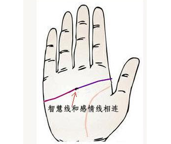感情线和智慧线相连
