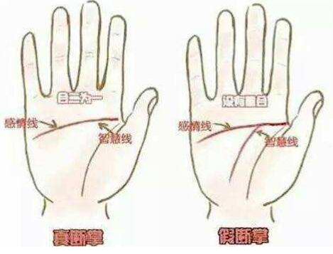 假断掌手相图解