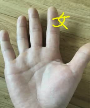 手相学大全