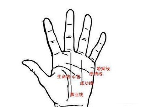 手相的看法