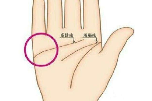 沒有婚姻線