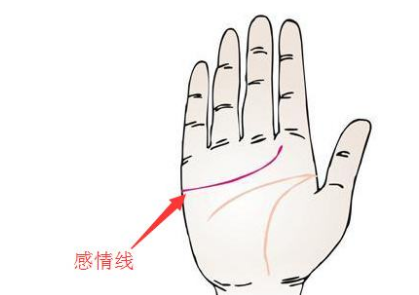 掌紋右手