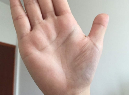 手相不动産