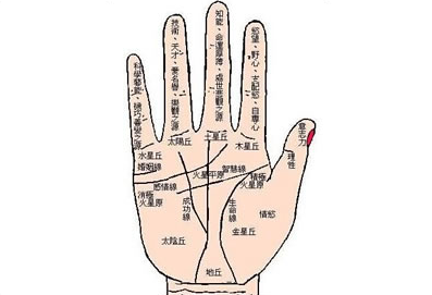 经商手相