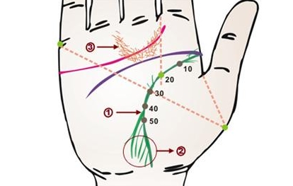 如何看手相生命线