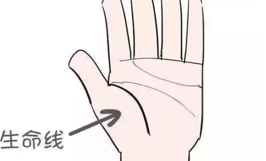 手相生命线