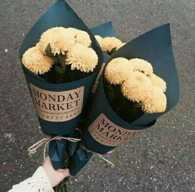 眉毛淡麪相