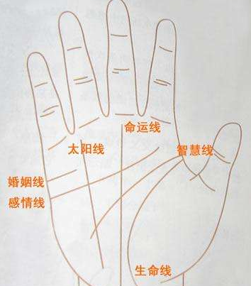 掌纹乱