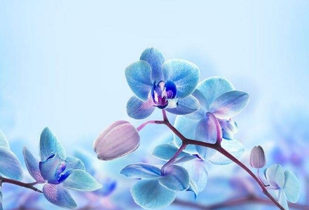 手相算命