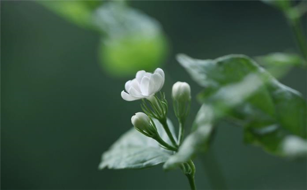 能嫁有錢人的手相