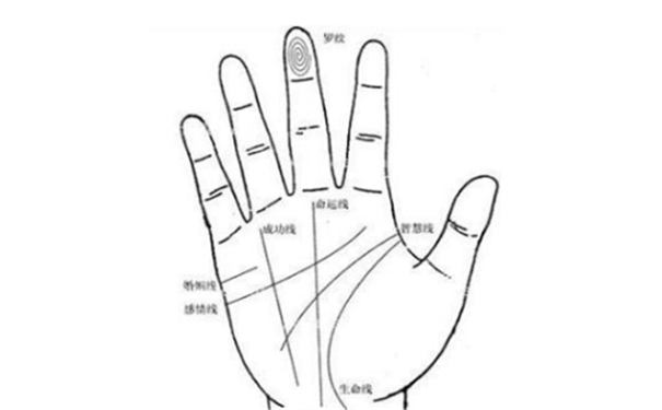 <b>首富的手相，看看着名的企业家会有哪些手相特</b>