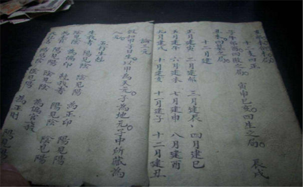 濫情的生肖