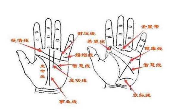 单身的手相，运势发展如何分析
