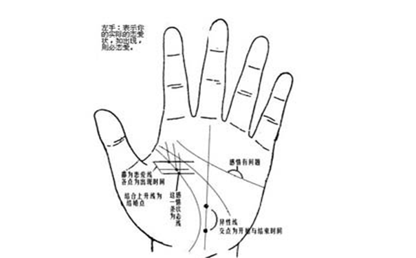 单身的手相，晚年会孤单凄凉