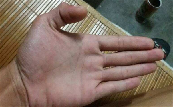 左手竖掌纹