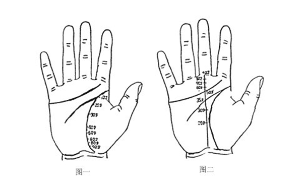 手掌纹很短，感情线很短手相分析