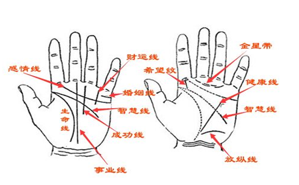 中指上掌纹特征多，看看这些代表什么