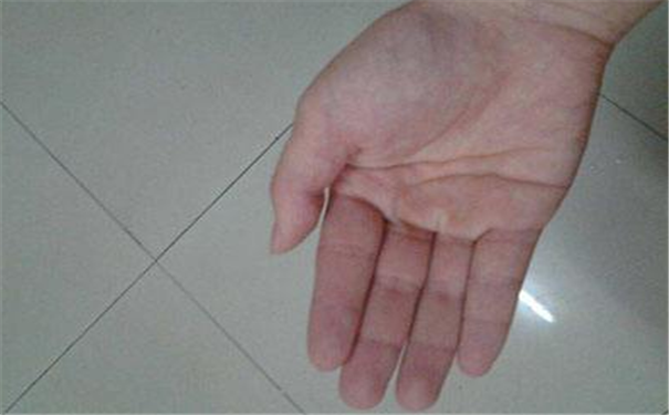 掌紋怎麽看
