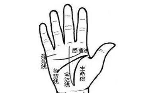 命运线怎么看