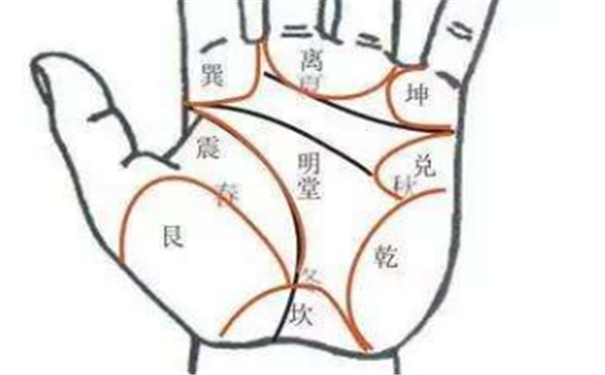 從手掌看婦科圖