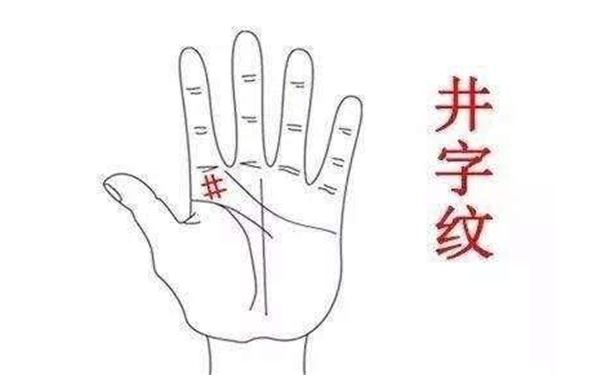 富貴紋手相