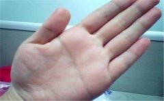 算命手相,事业运势好的手相一般都有这些特征