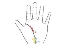 人缘好的手相，事业运势也很好