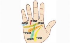 手相偏财运特征分析，拥有就是一种幸运