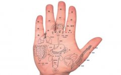 算命手相，不同的手相命运不同，来对照一下自