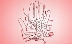 左手右手通天纹手相及其相关手相分析